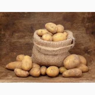 Продам картофель оптом из Беларусии