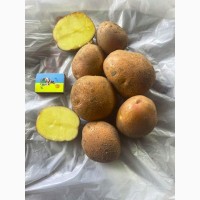 Продам картофель элитных нимецких и нидерланских сортов.Беларосса, Мелоди, Аризона