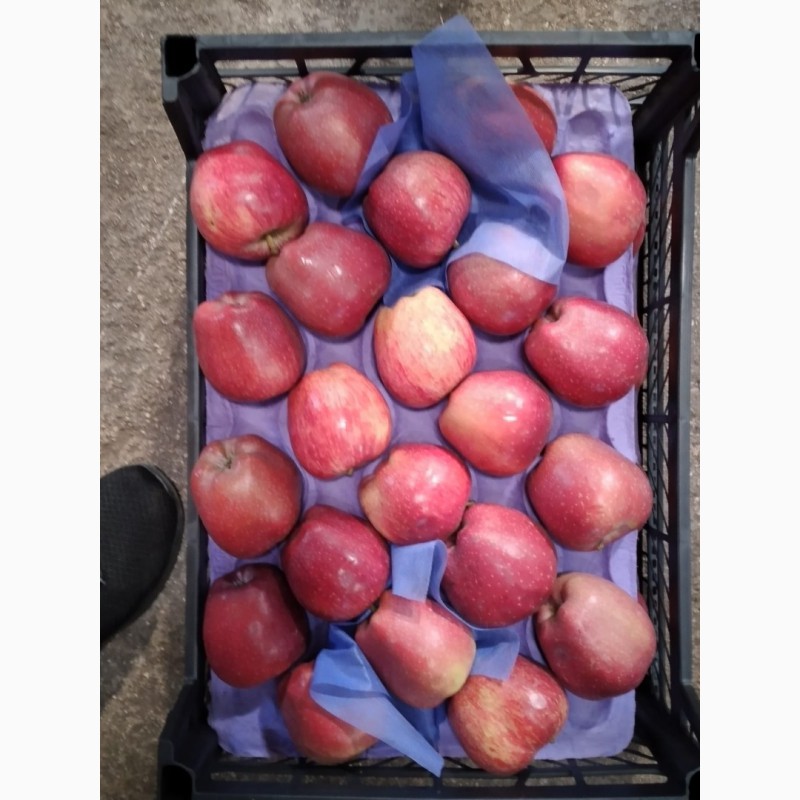 Фото 8. Яблоки различных сортов оптом (пр-во Турция)