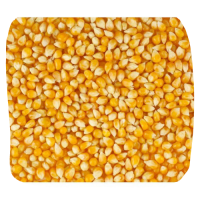 Продам зерновые пшеница кукурудза корма с доставкой к клиенту