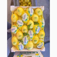 Продам лимон Mayer (пр-во Турция)
