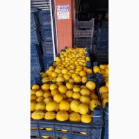 Продажа оптом лимонов 3 качества из Турции