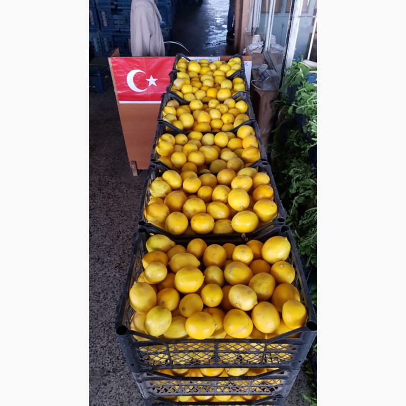 Фото 4. Продажа оптом лимонов 3 качества из Турции