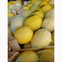 Лимон (пр-во Турция)