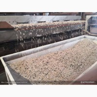 НОВИНКА 2020: Оборудование для очистки, шелушения и сепарации семян подсолнечника ТFKH1500