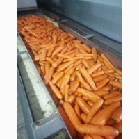Продам мытую морковь