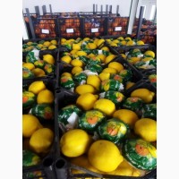 Продам апельсин мандарин лимон Турция