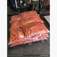 Морковь