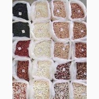 We sell commercial beans wholesale
